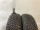 2x Winterreifen 165/70 R14 85T Nexen Nr.63