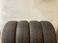 4x Winterreifen 205/55 R19 97V Semperit Nr.55