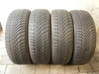 4x Winterreifen 205/55 R19 97V Semperit Nr.55