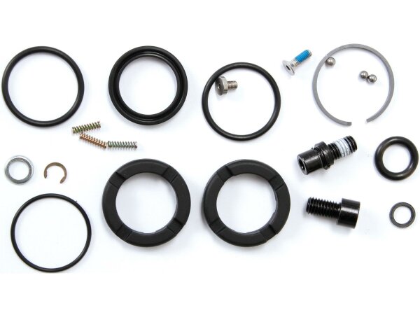 ROCKSHOX Domain Coil 302/318 2007-2010 Service Kit